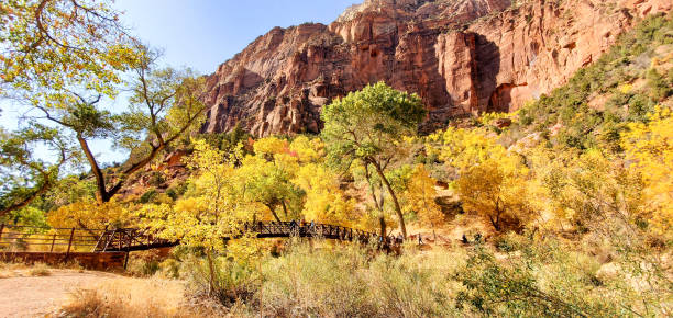 istock Zion National Park fall Colors, utah 2186581610