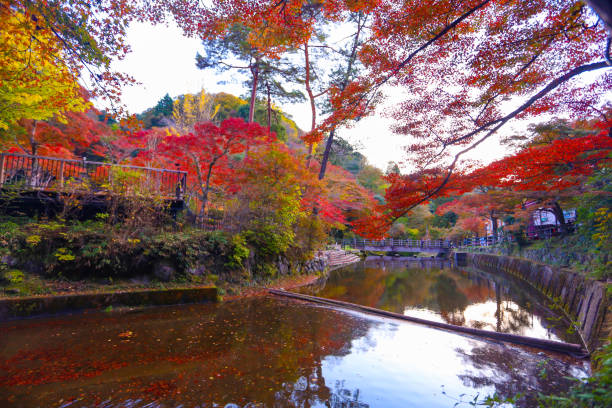istock Autumn leaves, murmuring streams, and reflections on the water's surface at Iwayado Park. 2186587686
