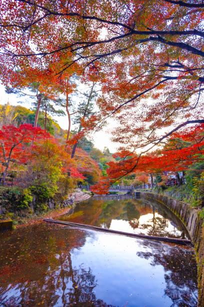 istock Autumn leaves, murmuring streams, and reflections on the water's surface at Iwayado Park. 2186587701