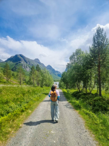 A solo hiker explores a tranquil gravel path surrounded by lush greenery in the mountains