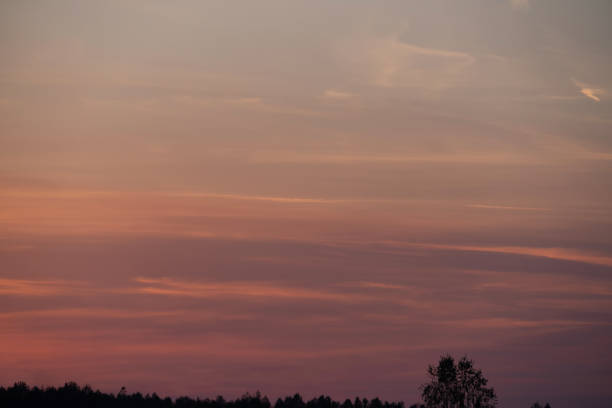 summer evening, sunset in yellow, orange and pink with clouds, background
