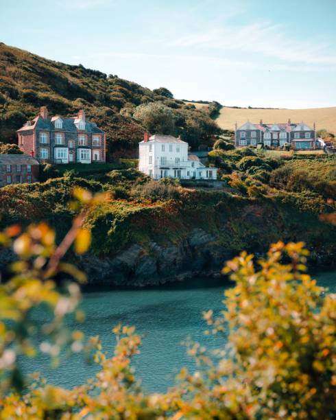 Charming coastal houses on a lush hillside overlooking a serene body of water, under a clear blue sky.