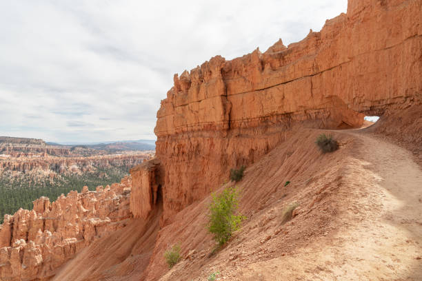 Trail in Bryce Canyon National Park, Utah, USA