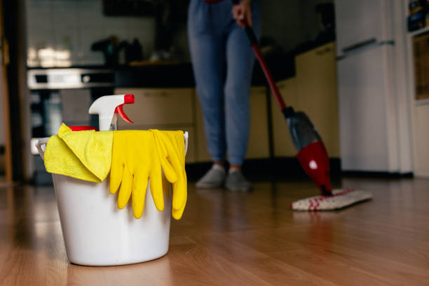 istock Woman cleaning her home , spring cleaning 2186597361