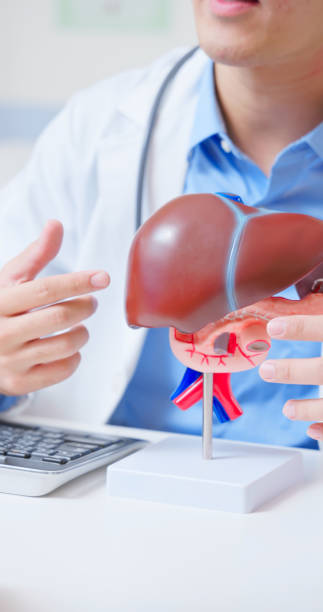 istock doctor explaining liver health condition 2186598801