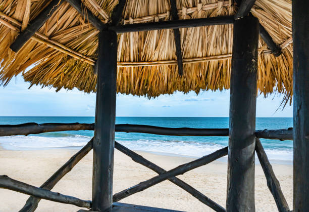 istock beach hut with a straw roof sits on the beach 2186599132