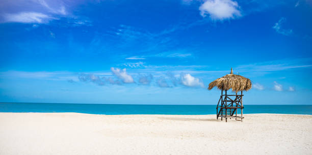 istock beach hut with a straw roof sits on the beach 2186599259