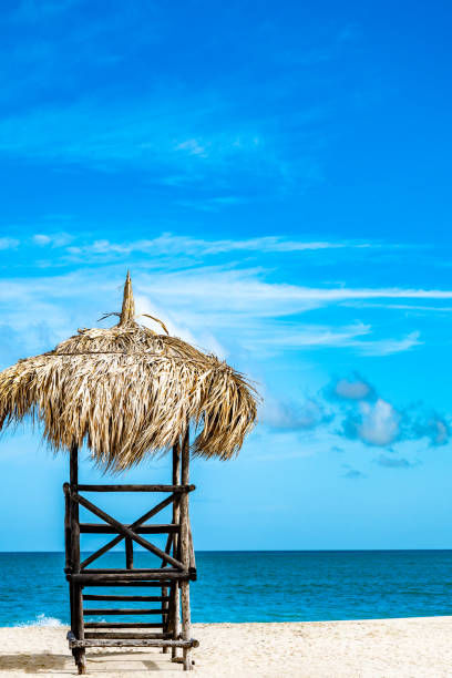 A beach hut with a straw roof sits on the beach. The hut is empty and the beach is calm