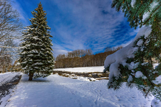 Festive Christmas tree in the snow by the river