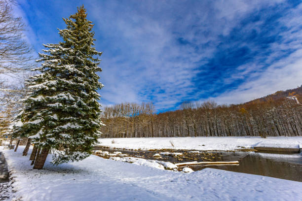 istock Festive Christmas tree in the snow by the river 2186603441