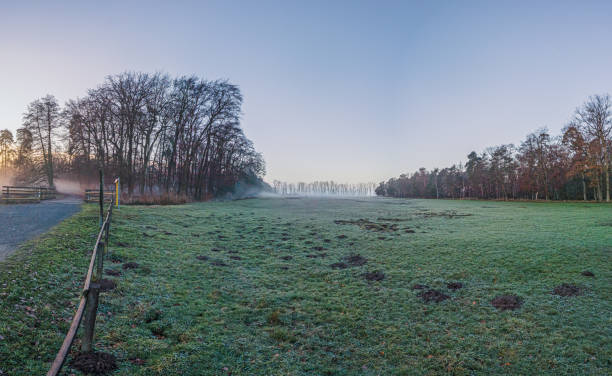 istock Frosty sunrise landscape with mist, trees, and open fields, capturing tranquil nature and serene vibes 2186604361