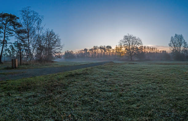 Frosty sunrise landscape with mist, trees, and open fields, capturing tranquil nature and serene vibes in winter