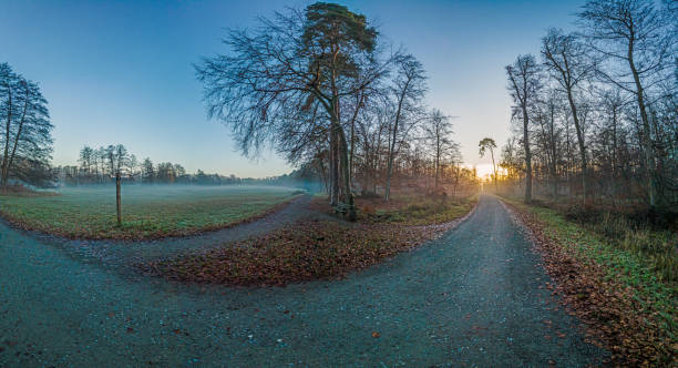 istock Frosty sunrise landscape with mist, trees, and open fields, capturing tranquil nature and serene vibes 2186604456
