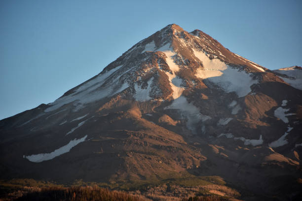 shasta mountain in sunset light in california