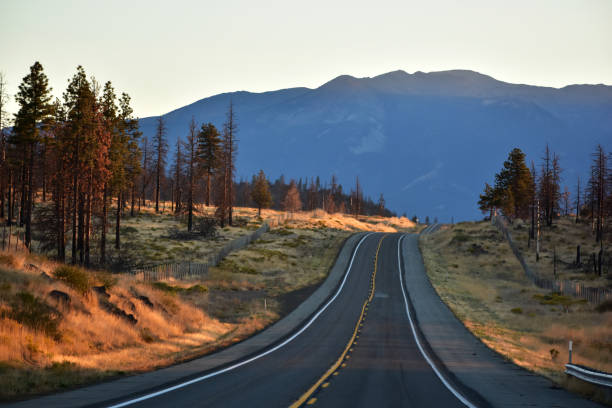 istock road view in sunset light in northern california 2186606203