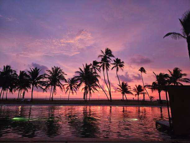 istock A radiant purple sky at dusk 2186606257