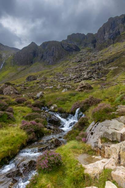istock Heather growing alongside a waterfall on the rugged hiking trail that circumnavigates Cwm Idwal in Wales. 2186607951