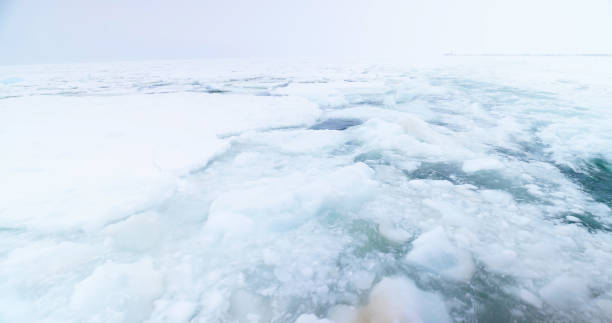 drift ice floes on the sea in hokkaido japan viewed from an icebreaker ship during winter
