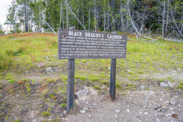 Information Sign for Black Dragon's Cauldron at Mud Volcano in Yellowstone National Park, Wyoming The Black Dragon's Cauldron is a turbulent hot spring located in the Mud Volcano area of Yellowstone National Park, Wyoming. It violently formed in 1948 after a sudden hydrothermal explosion created a steaming, acidic pool. The cauldron emits boiling, muddy water and thick steam, producing loud, gurgling sounds that resemble a dragon’s roar. Its activity is fueled by the park's geothermal system, with high temperatures and acidic conditions contributing to its constantly changing, volatile nature. This feature highlights Yellowstone’s dynamic volcanic landscape. mud volcano yellowstone stock pictures, royalty-free photos & images