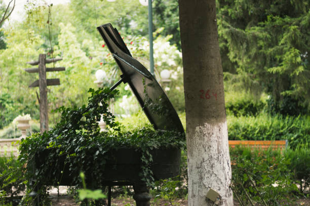 Black grand piano covered with green leafs, Tbilisi, Georgia