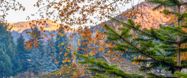Autumn big trees and mountain of Metsovo