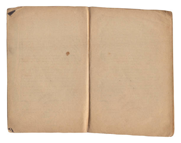 istock Vintage empty background of old book paper texture isolated 2186619954