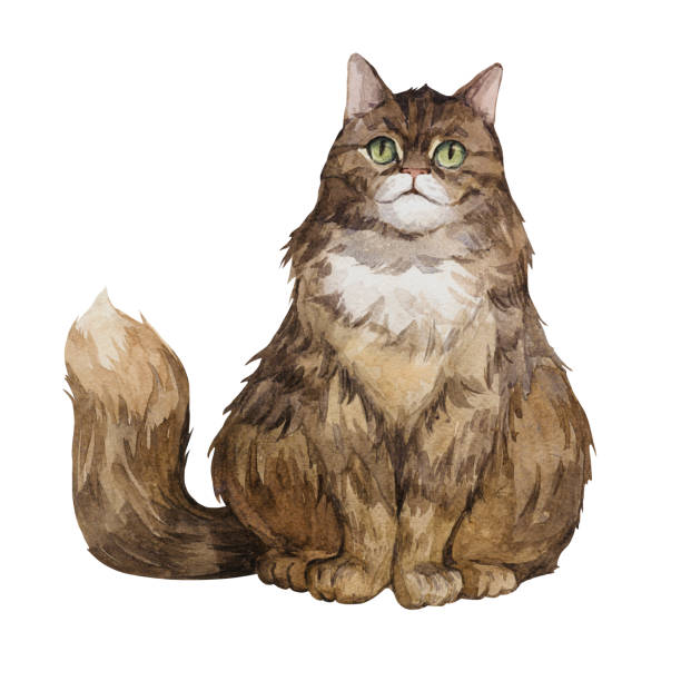 istock Watercolor illustration with a sitting cat on white background 2186622349