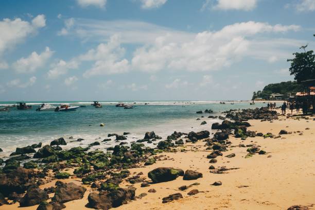 istock Scenic view of a tranquil beach with soft sand and gentle waves. 2186624144