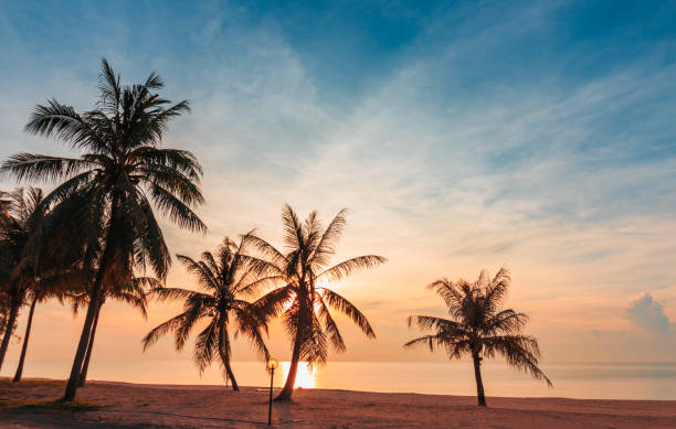 istock Landscape Beach sand with coconut 2186625264