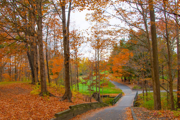istock Fall Leaf color with road and bridge-Howard County, Indiana 2186626561