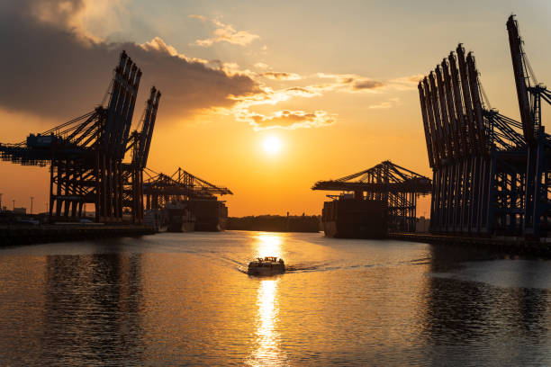 Hamburg, Germany - June 17, 2024: Silhouettes of the cranes at the container terminal Burchardkai in the port of Hamburg at sunset.