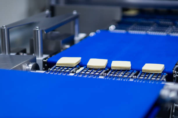 istock Mozzarella cheese factory. Scenes in a mozzarella cheese industry - industrial complex. 2186630572