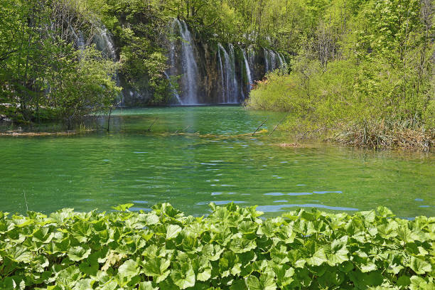 Lakes with turquoise water connected by a waterfall on May 9, 2014 in Plitvice National Park. The park is UNESCO World Heritage Site, Croatia