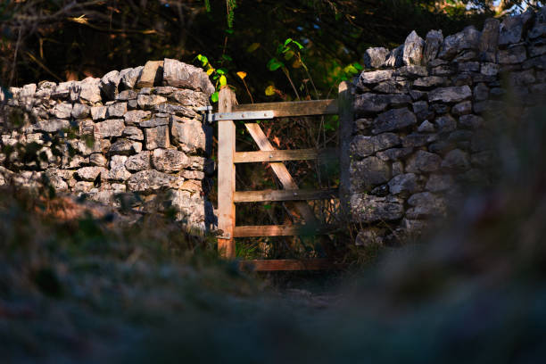 A wooden gate between stone walls catching some autumn sun in Eaves Wood, Lake District