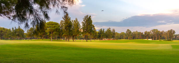 istock A panoramic golf course surrounded by lush trees and illuminated by the soft light of an evening sky, offering a peaceful retreat. 2186637755