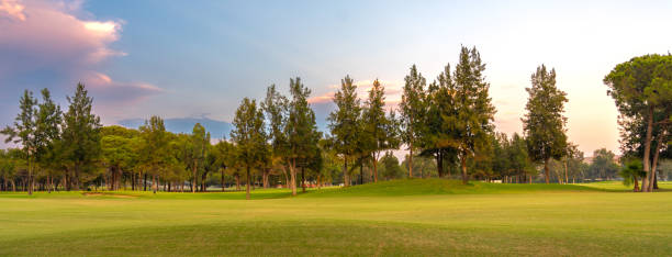 istock A beautifully manicured golf course surrounded by tall trees and illuminated by the soft hues of an evening sky, perfect for relaxation. 2186637817