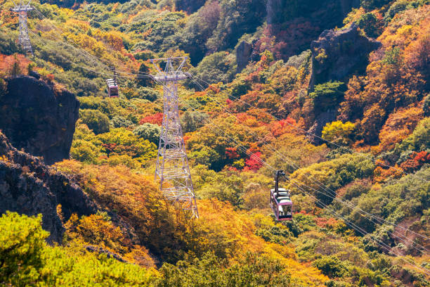 Beautiful autumn foliage in Shodoshima's Kankakei Valley
