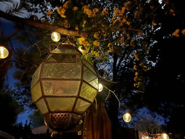 A vintage lantern surrounded by glowing string lights and vibrant yellow flowers in a serene evening garden setting.