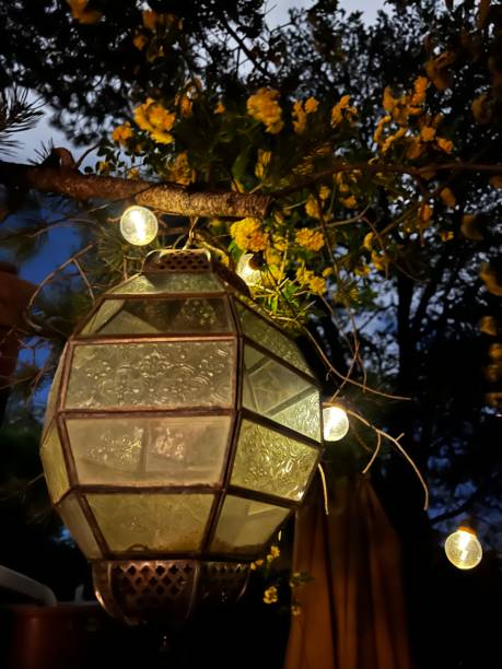 istock decorative lantern at night with flowers 2186639036