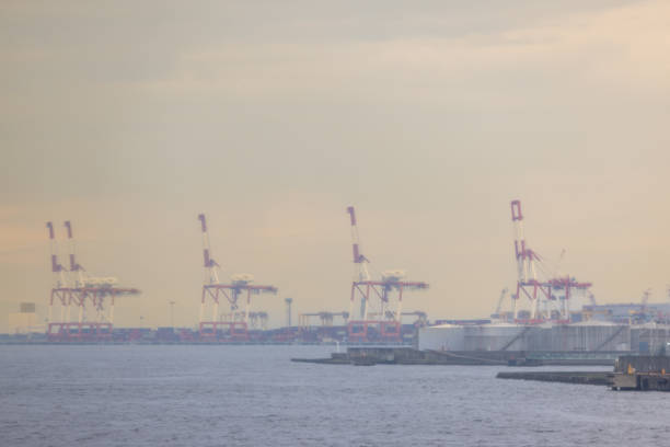 A scenic shot of multiple port cranes lined up along the waterfront under a hazy sky. The image highlights the industrial activity at the harbor and the vastness of the maritime trade hub.