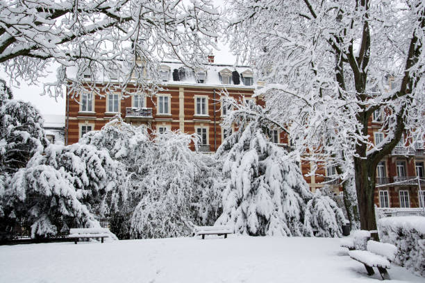 view of trees covered by the snow in a public garden on building background