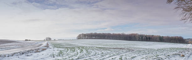 istock Winter dressed in snow and frost 2186643676