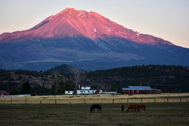 istock shasta mountain summit in sunset light 2186644029