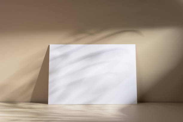 istock Minimalist beige background with a blank white poster and shadows 2186644326
