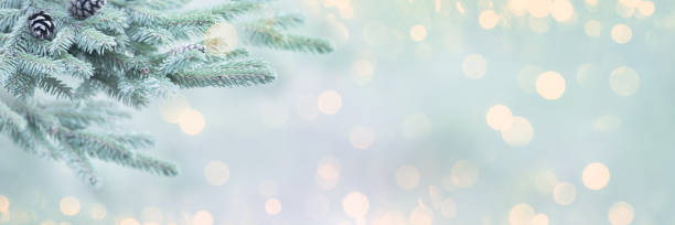 istock Mary Christmas and Happy New Year 2186644871