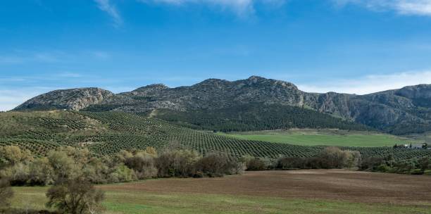 istock Landscape in Andalusia Spain 2186647228