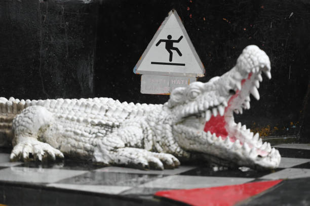 Sign, be careful, there are slippery crocodiles