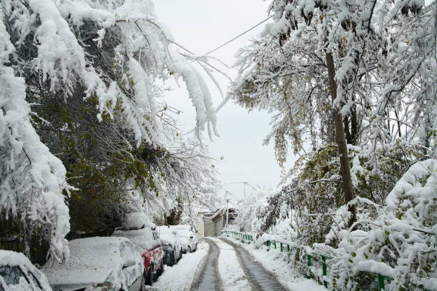 Great snowfall in Sarajevo view from mountainside. Autumn leaf color of trees with snow on them High angle view on narrow streets of capital city of Balcan capital