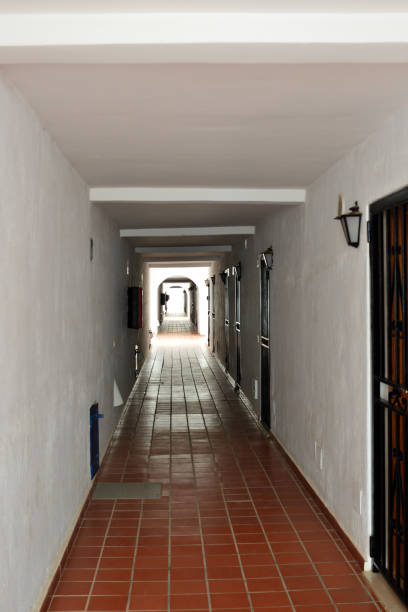 istock Canary Islands indoors outdoors combination 2186670623