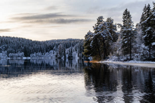 istock Winter forest on a mountain lake 2186676503